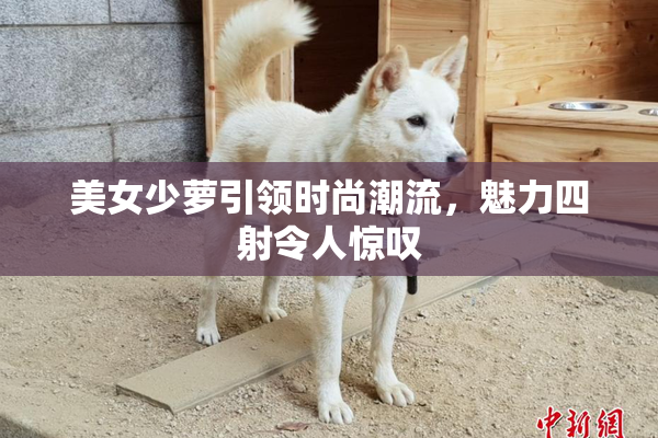 美女少萝引领时尚潮流，魅力四射令人惊叹