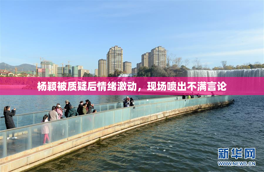 杨颖被质疑后情绪激动，现场喷出不满言论