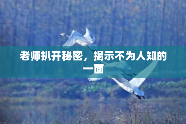 老师扒开秘密，揭示不为人知的一面