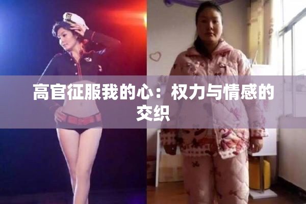 高官征服我的心：权力与情感的交织