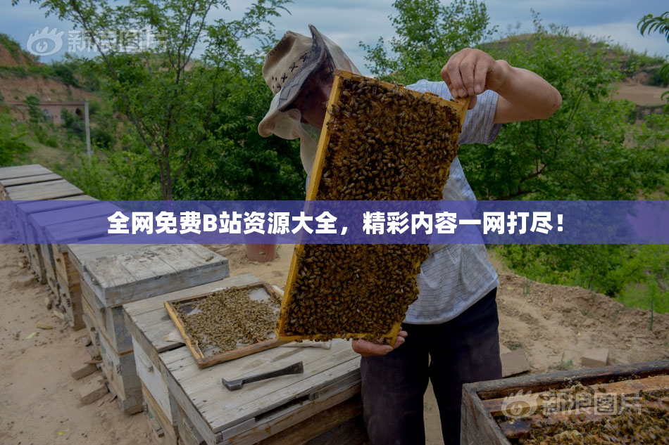 全网免费B站资源大全，精彩内容一网打尽！