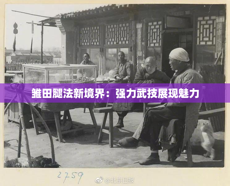雏田腿法新境界：强力武技展现魅力