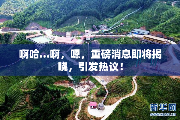 啊哈…啊，嗯，重磅消息即将揭晓，引发热议！