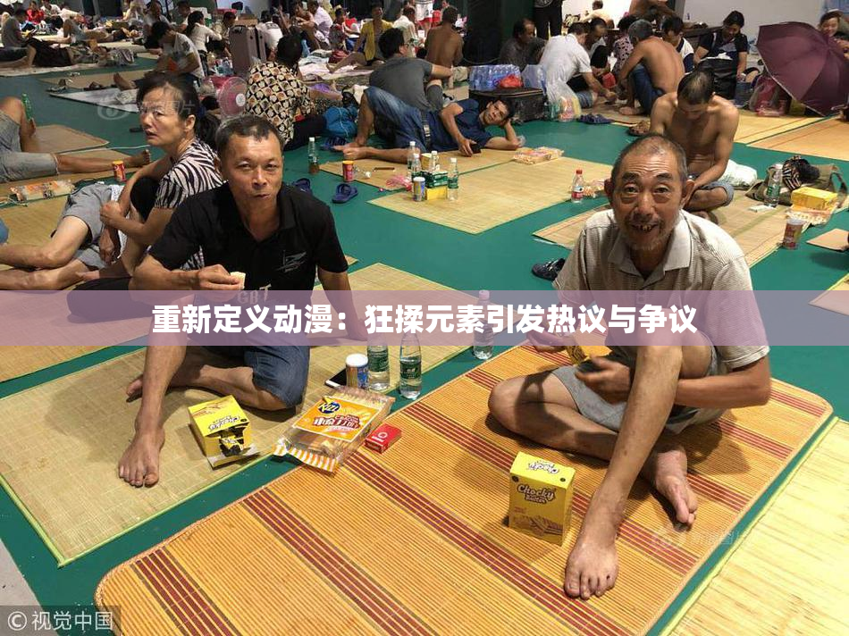 重新定义动漫：狂揉元素引发热议与争议