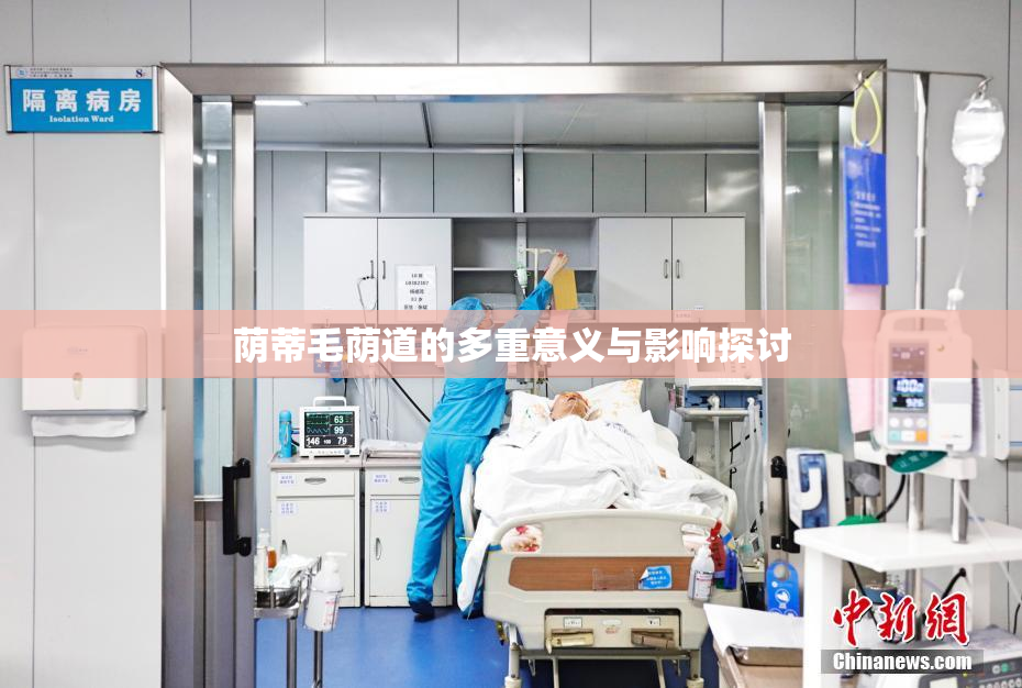 荫蒂毛荫道的多重意义与影响探讨