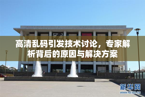 高清乱码引发技术讨论，专家解析背后的原因与解决方案