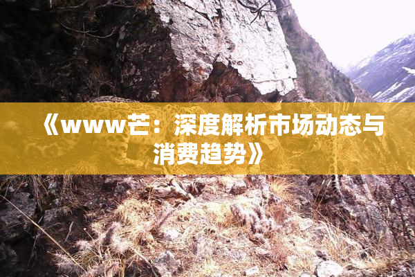 《www芒：深度解析市场动态与消费趋势》
