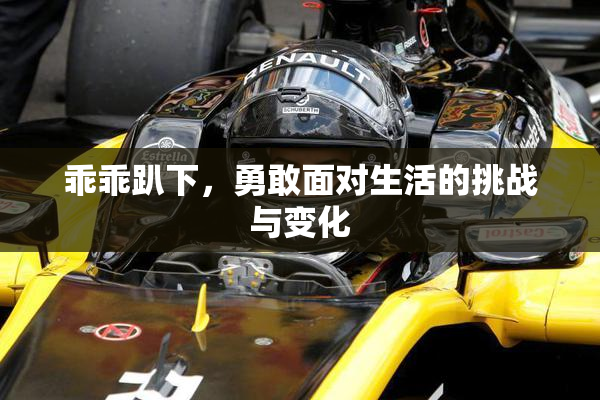 乖乖趴下，勇敢面对生活的挑战与变化