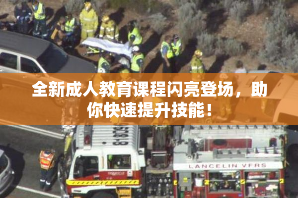 全新成人教育课程闪亮登场，助你快速提升技能！