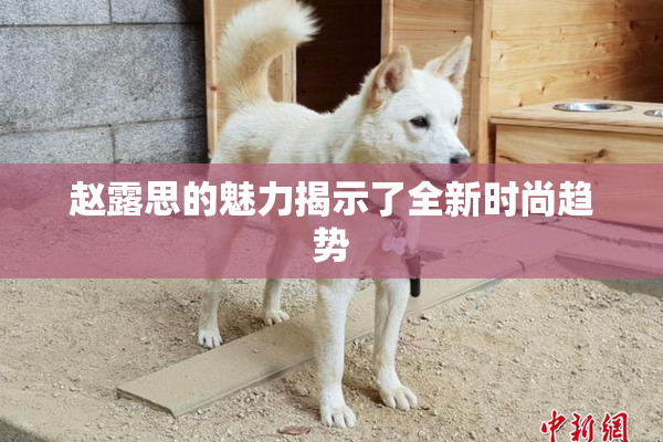 赵露思的魅力揭示了全新时尚趋势