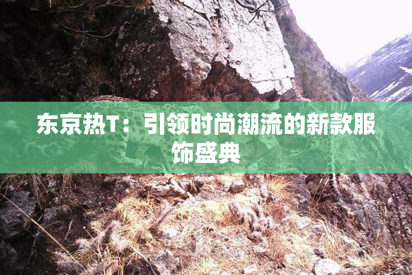 东京热T：引领时尚潮流的新款服饰盛典