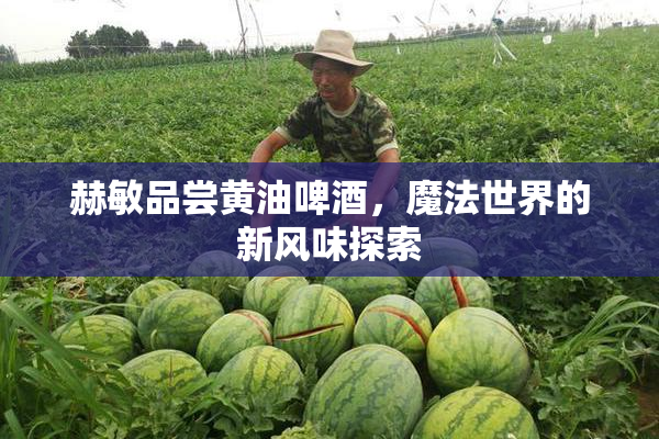 赫敏品尝黄油啤酒，魔法世界的新风味探索