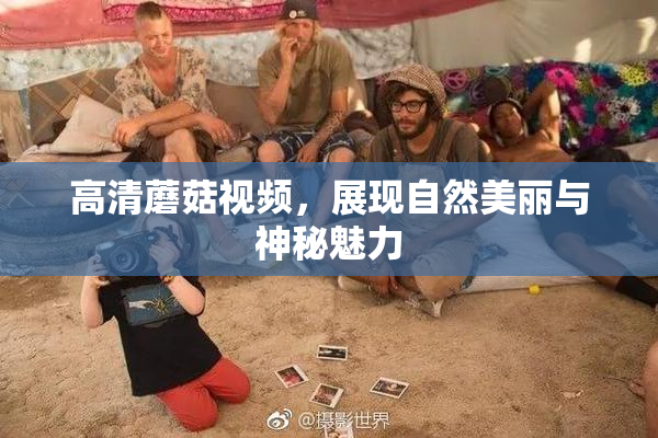 高清蘑菇视频，展现自然美丽与神秘魅力