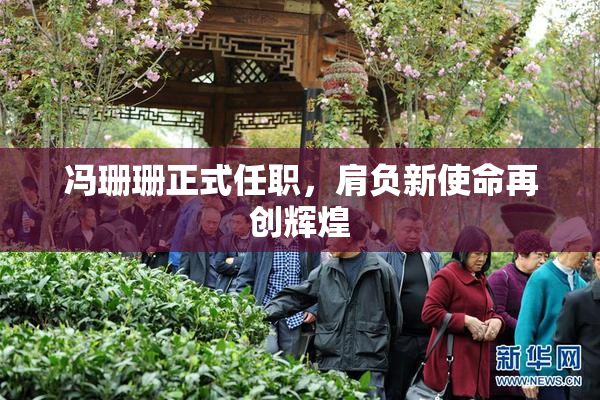 冯珊珊正式任职，肩负新使命再创辉煌