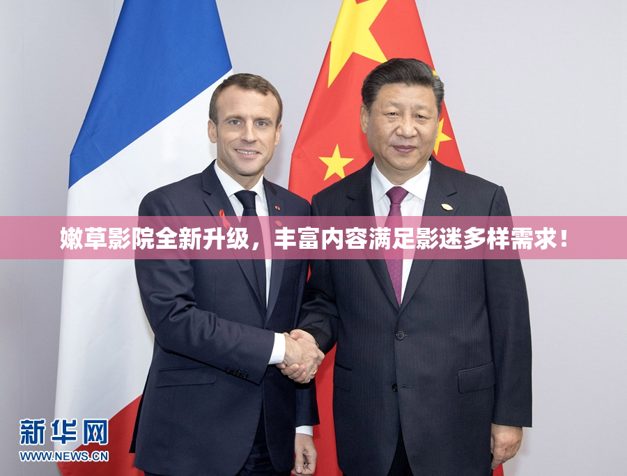 嫩草影院全新升级，丰富内容满足影迷多样需求！