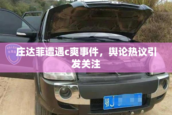 庄达菲遭遇c爽事件，舆论热议引发关注