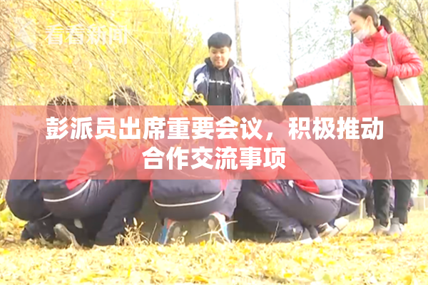 彭派员出席重要会议，积极推动合作交流事项