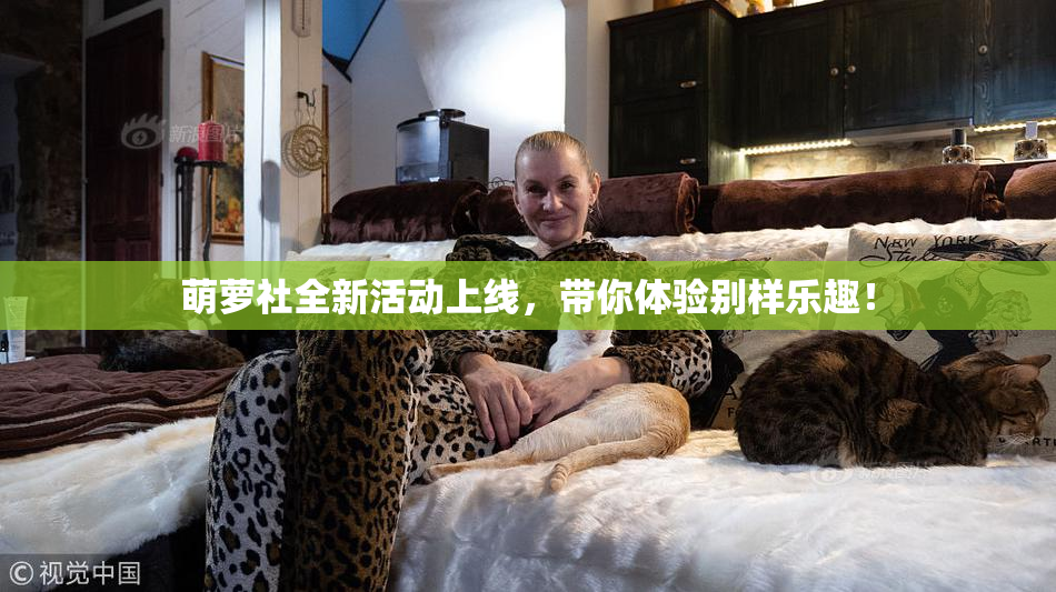 萌萝社全新活动上线，带你体验别样乐趣！