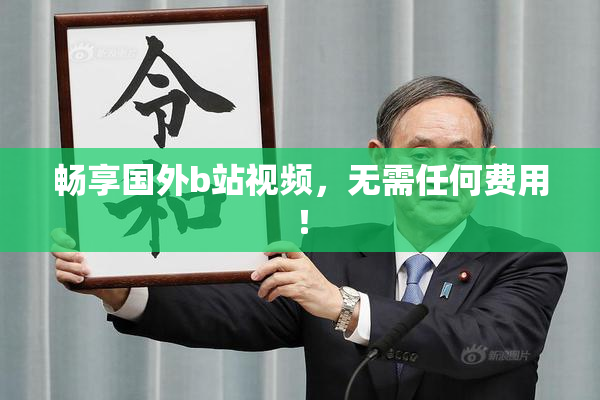 畅享国外b站视频，无需任何费用！