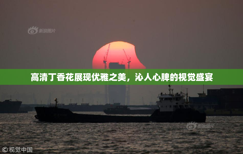 高清丁香花展现优雅之美，沁人心脾的视觉盛宴