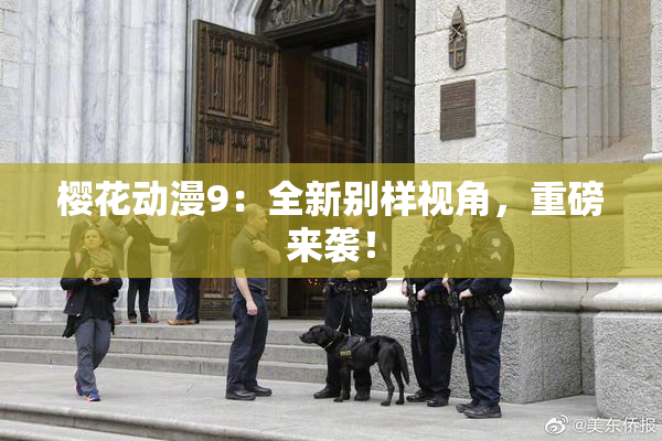 樱花动漫9：全新别样视角，重磅来袭！