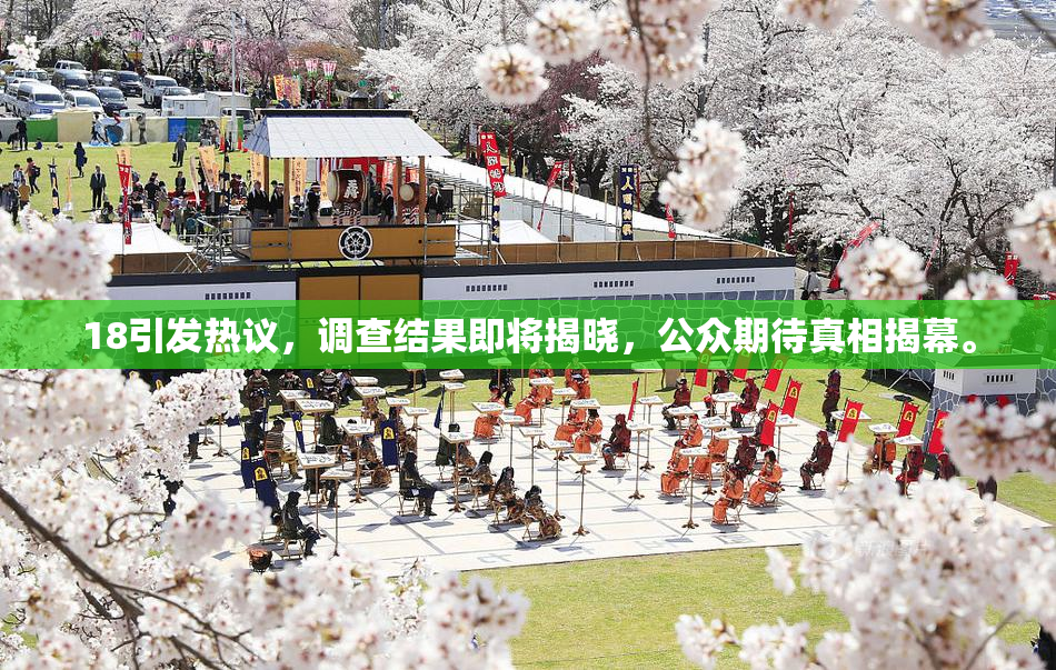 18引发热议，调查结果即将揭晓，公众期待真相揭幕。