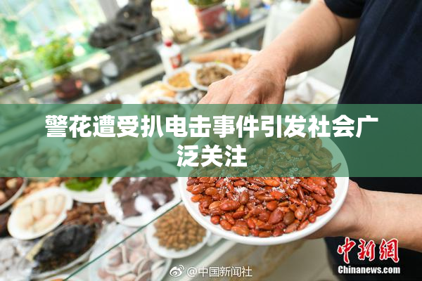警花遭受扒电击事件引发社会广泛关注