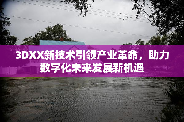 3DXX新技术引领产业革命，助力数字化未来发展新机遇