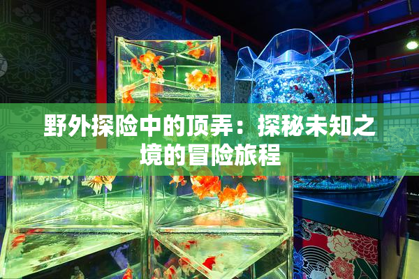 野外探险中的顶弄：探秘未知之境的冒险旅程