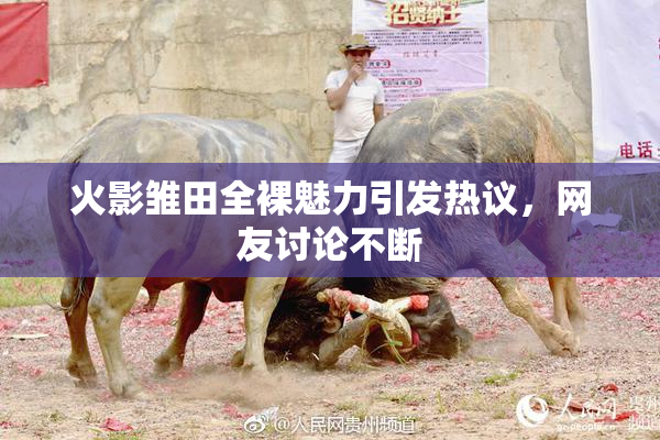 火影雏田全裸魅力引发热议，网友讨论不断