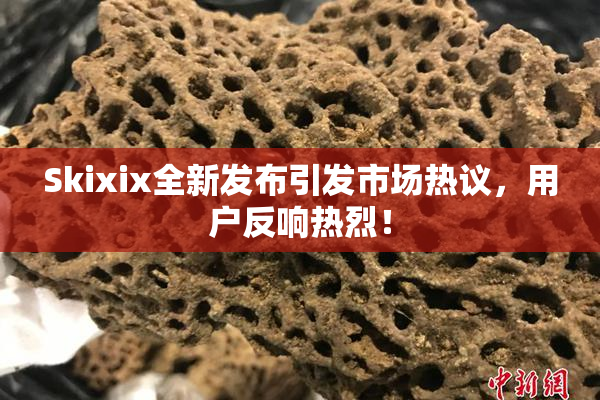 Skixix全新发布引发市场热议，用户反响热烈！