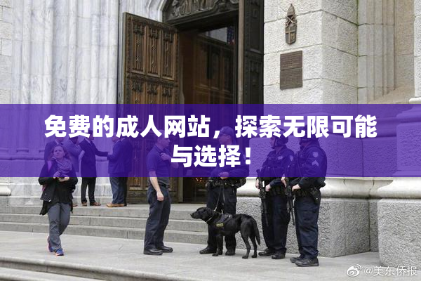 免费的成人网站，探索无限可能与选择！
