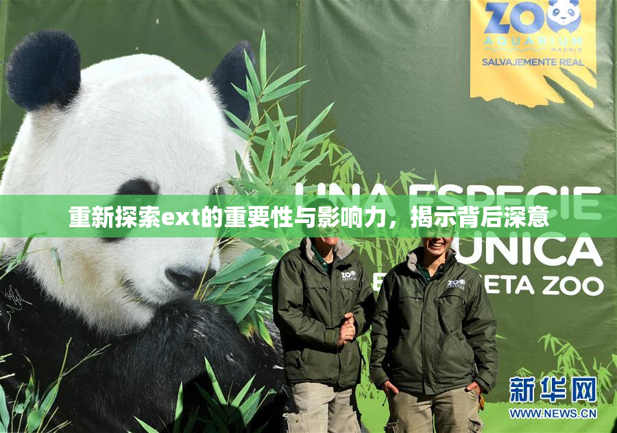 重新探索ext的重要性与影响力，揭示背后深意