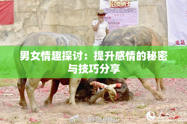 男女情趣探讨：提升感情的秘密与技巧分享