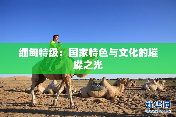 缅甸特级：国家特色与文化的璀璨之光