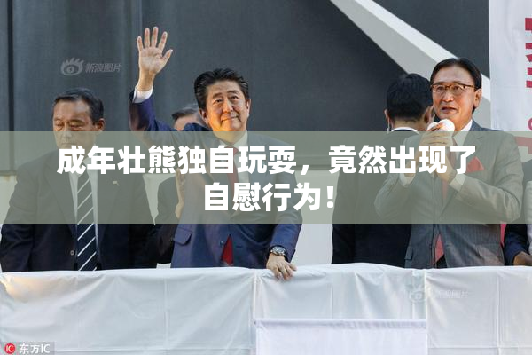 成年壮熊独自玩耍，竟然出现了自慰行为！