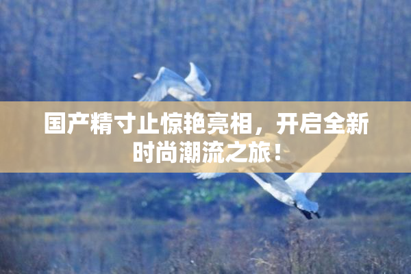 国产精寸止惊艳亮相，开启全新时尚潮流之旅！