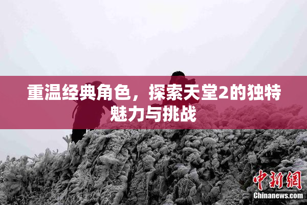 重温经典角色，探索天堂2的独特魅力与挑战