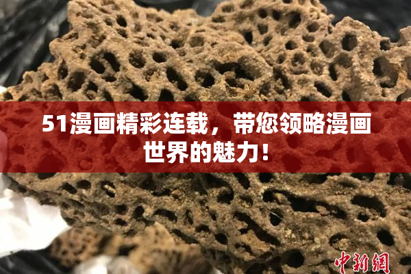 51漫画精彩连载，带您领略漫画世界的魅力！