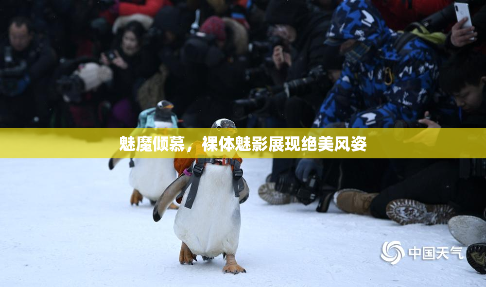 魅魔倾慕，裸体魅影展现绝美风姿