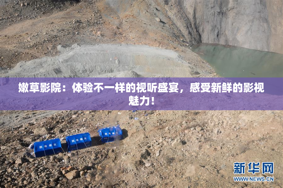 嫩草影院：体验不一样的视听盛宴，感受新鲜的影视魅力！