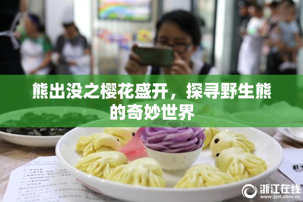 熊出没之樱花盛开，探寻野生熊的奇妙世界
