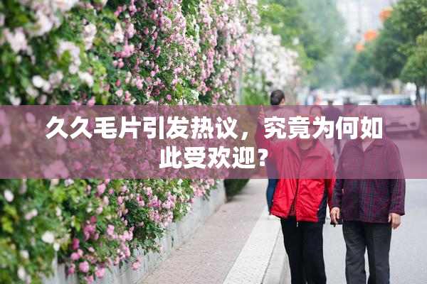 久久毛片引发热议，究竟为何如此受欢迎？
