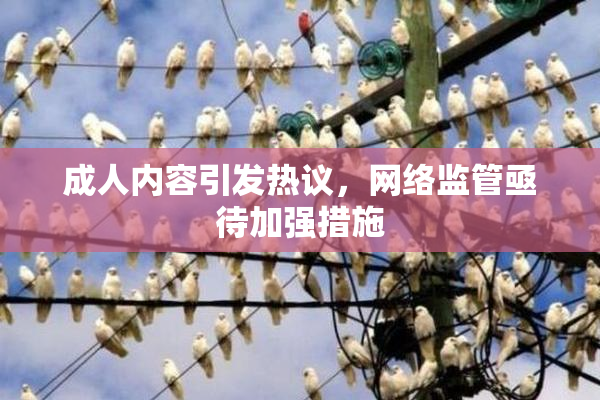 成人内容引发热议，网络监管亟待加强措施