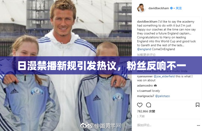 日漫禁播新规引发热议，粉丝反响不一