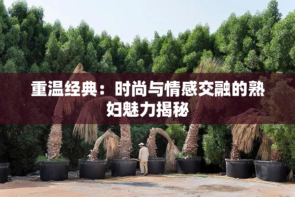 重温经典：时尚与情感交融的熟妇魅力揭秘