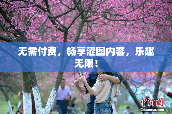 无需付费，畅享涩图内容，乐趣无限！