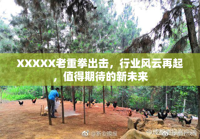XXXXX老重拳出击，行业风云再起，值得期待的新未来