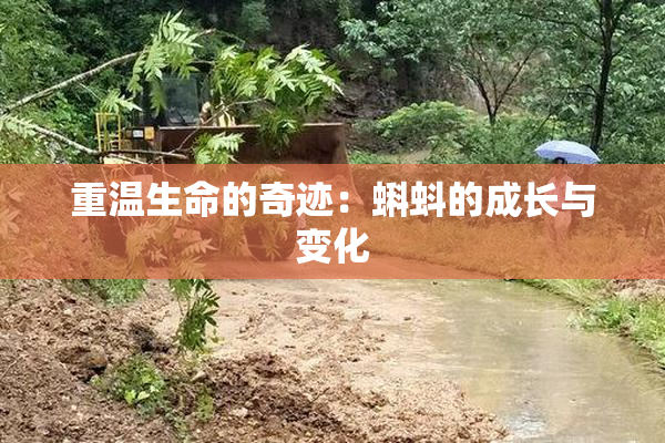 重温生命的奇迹：蝌蚪的成长与变化