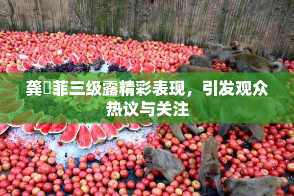 龚玥菲三级露精彩表现，引发观众热议与关注